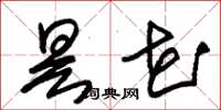 朱锡荣昙花草书怎么写