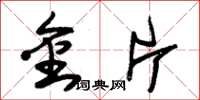 朱锡荣金片草书怎么写