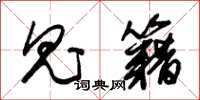 朱锡荣鬼籍草书怎么写