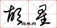 朱锡荣胡星草书怎么写