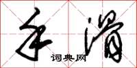 朱锡荣手滑草书怎么写