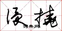 朱锡荣侵挠草书怎么写