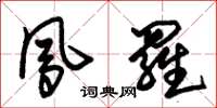 朱锡荣凤罗草书怎么写