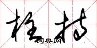 朱锡荣柱持草书怎么写