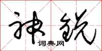 朱锡荣神锐草书怎么写