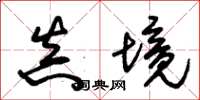 朱锡荣真境草书怎么写