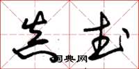朱锡荣真武草书怎么写