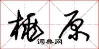 朱锡荣桃原草书怎么写