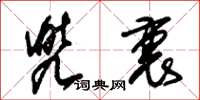 朱锡荣兜裹草书怎么写