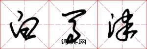 朱锡荣白马津草书怎么写