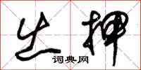 朱锡荣出押草书怎么写