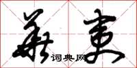 朱锡荣华夷草书怎么写