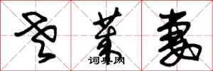 朱锡荣老莱妻草书怎么写