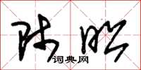 朱锡荣师昭草书怎么写