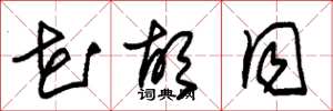 朱锡荣花胡同草书怎么写