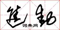 朱锡荣进动草书怎么写