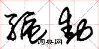 朱锡荣驱动草书怎么写
