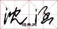 朱锡荣沈涵草书怎么写