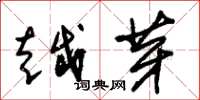 朱锡荣越芽草书怎么写