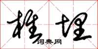 朱锡荣椎埋草书怎么写