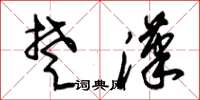 朱锡荣楚汉草书怎么写