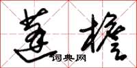 朱锡荣蓬檐草书怎么写