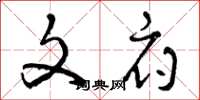 曾庆福文府草书怎么写