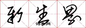 朱锡荣新生界草书怎么写