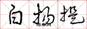 曾庆福白扬提草书怎么写