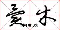 曾庆福异木草书怎么写