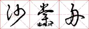曾庆福沙棠舟草书怎么写