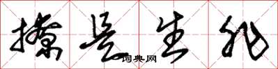 朱锡荣撩是生非草书怎么写