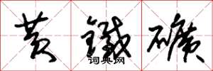 朱锡荣黄铁矿草书怎么写