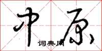 曾庆福中原草书怎么写