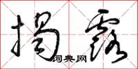 曾庆福揭露草书怎么写