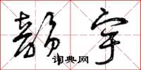 曾庆福韵宇草书怎么写