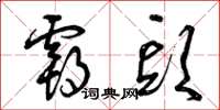 曾庆福霸头草书怎么写