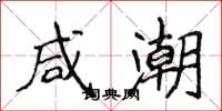 侯登峰咸潮楷书怎么写