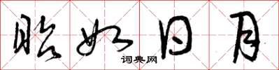 曾庆福昭如日月草书怎么写