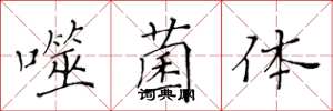 黄华生噬菌体楷书怎么写