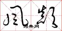 曾庆福風顛草书怎么写