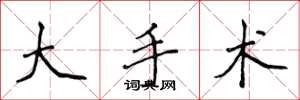 侯登峰大手术楷书怎么写