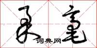 曾庆福柔毫草书怎么写