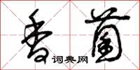 曾庆福香菌草书怎么写