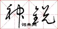 曾庆福神锐草书怎么写