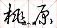 曾庆福桃原草书怎么写