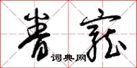 曾庆福眷宠草书怎么写
