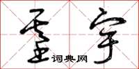 曾庆福基宇草书怎么写