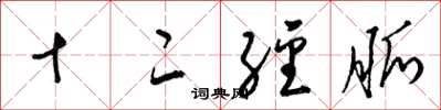梁锦英十二经脉草书怎么写
