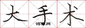 骆恒光大手术楷书怎么写